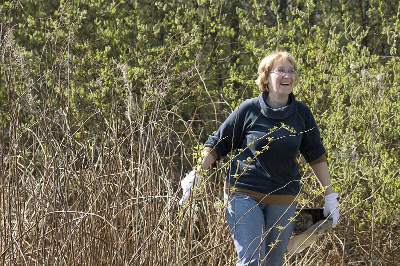 paljasaare_teeme2008 009.jpg